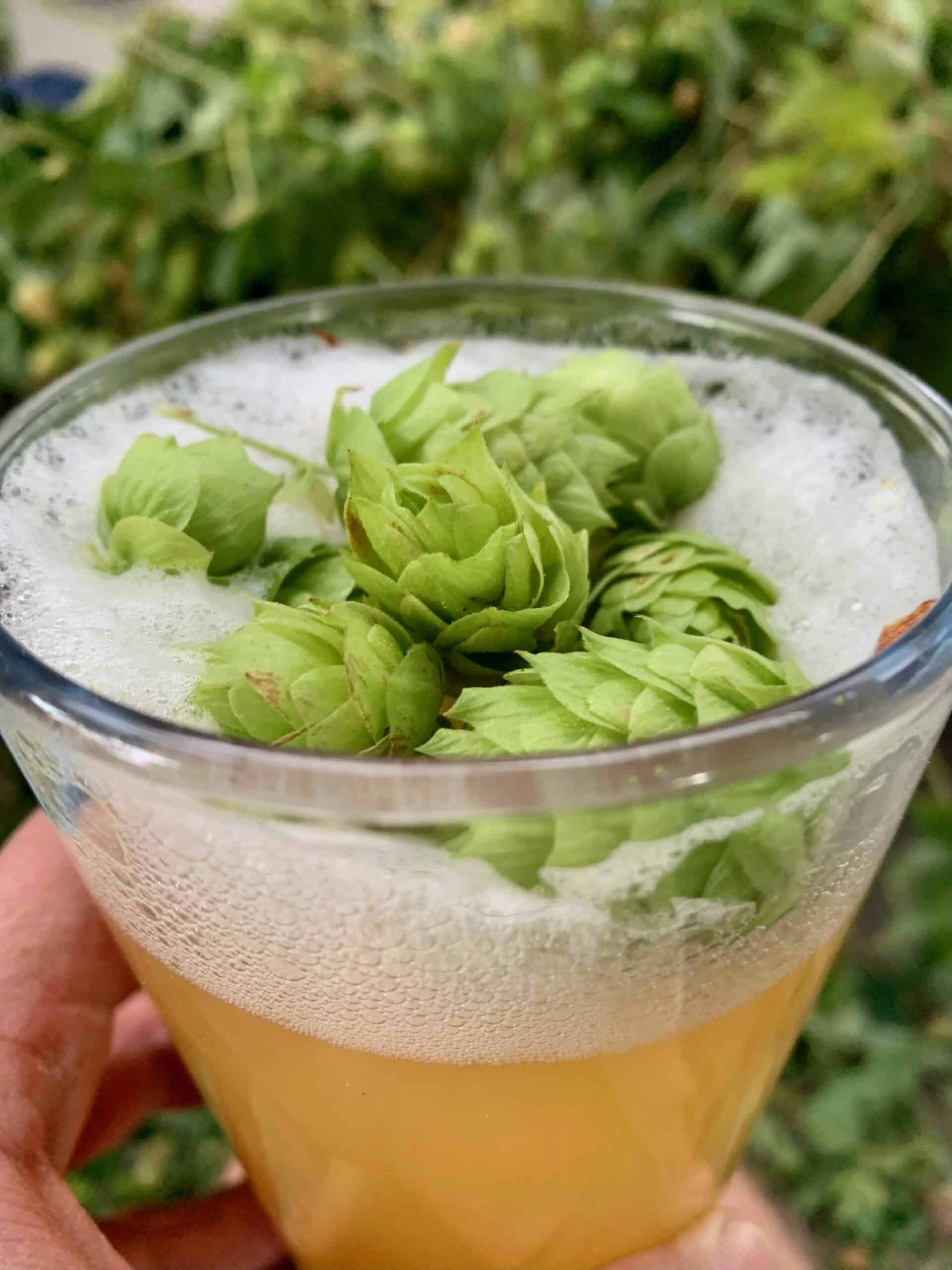 Blokes & Beer, 2day beer making class Tuesday 28th March, second date